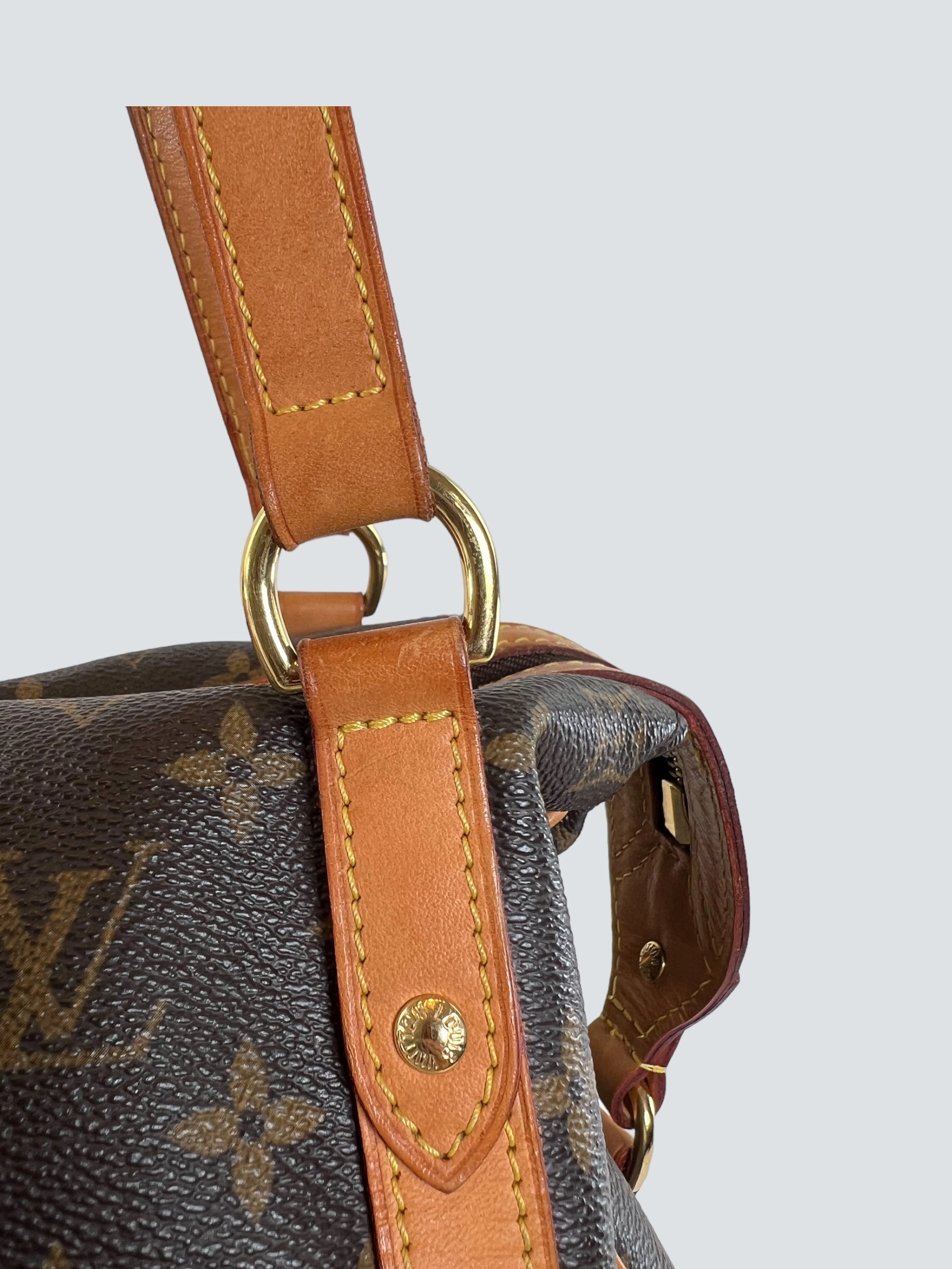 Louis Vuitton Monogram Canvas Stresa Tote
