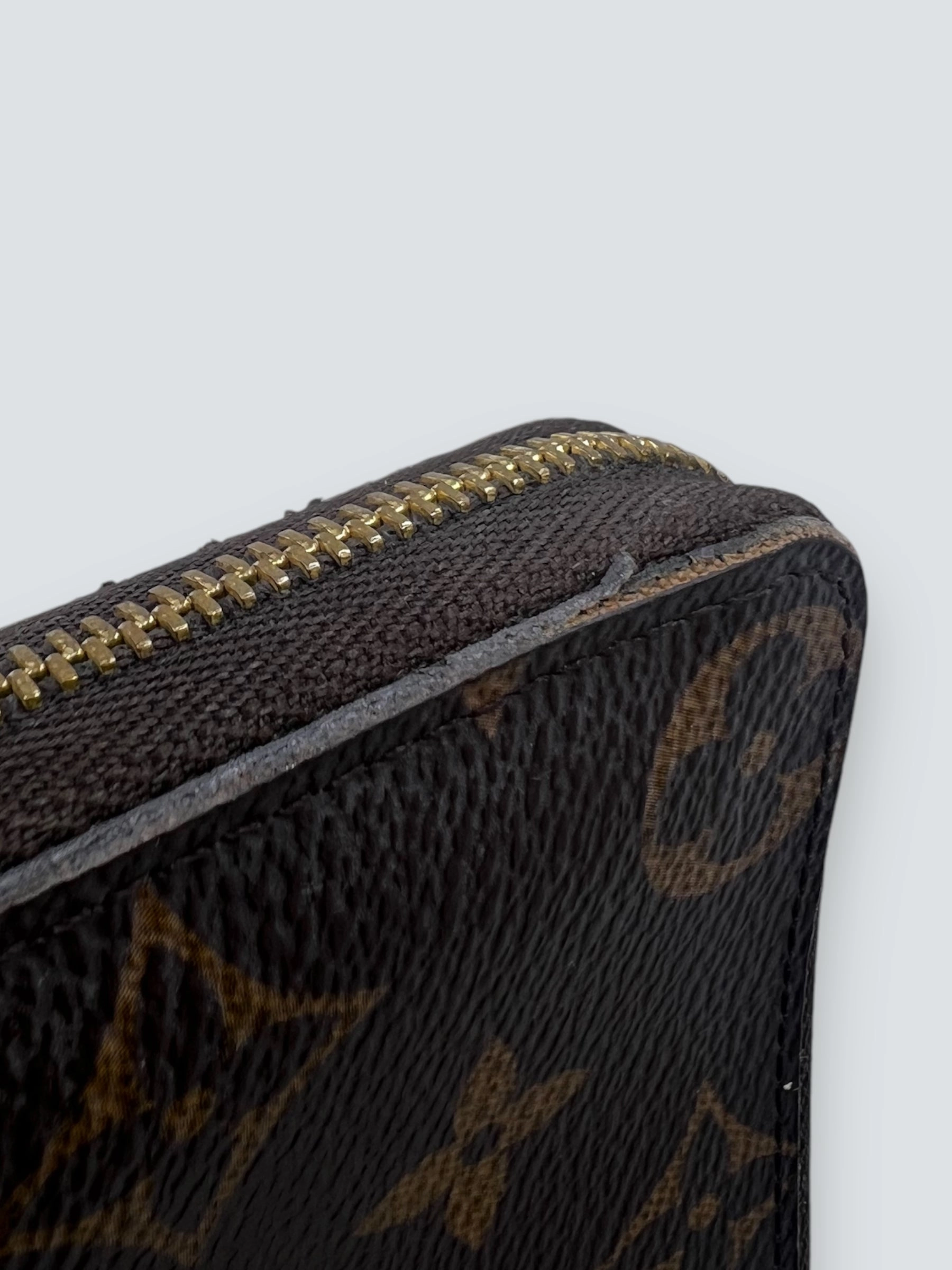 Louis Vuitton Monogram Canvas Zip Wallet