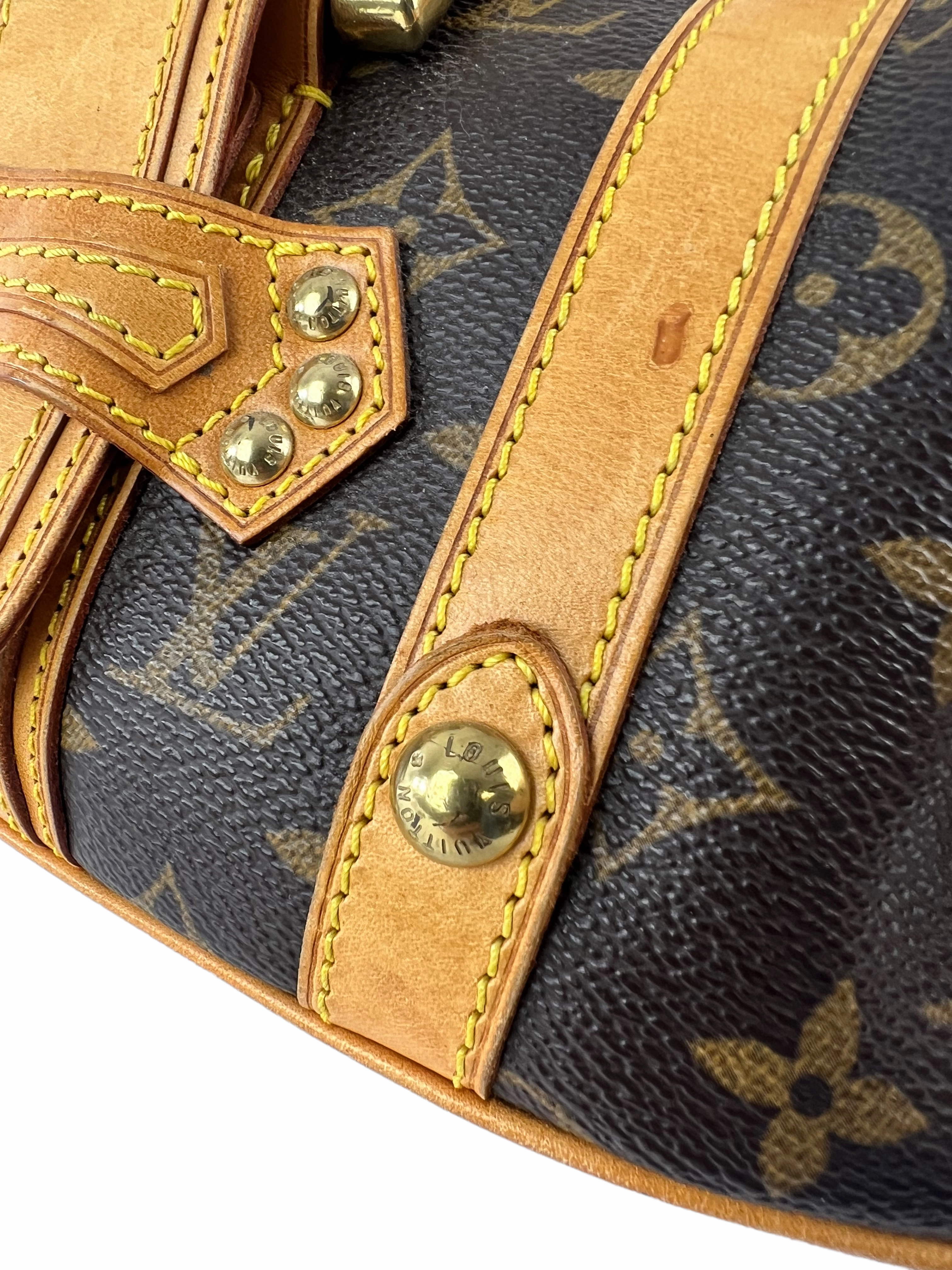 Louis Vuitton Monogram Theda Handbag