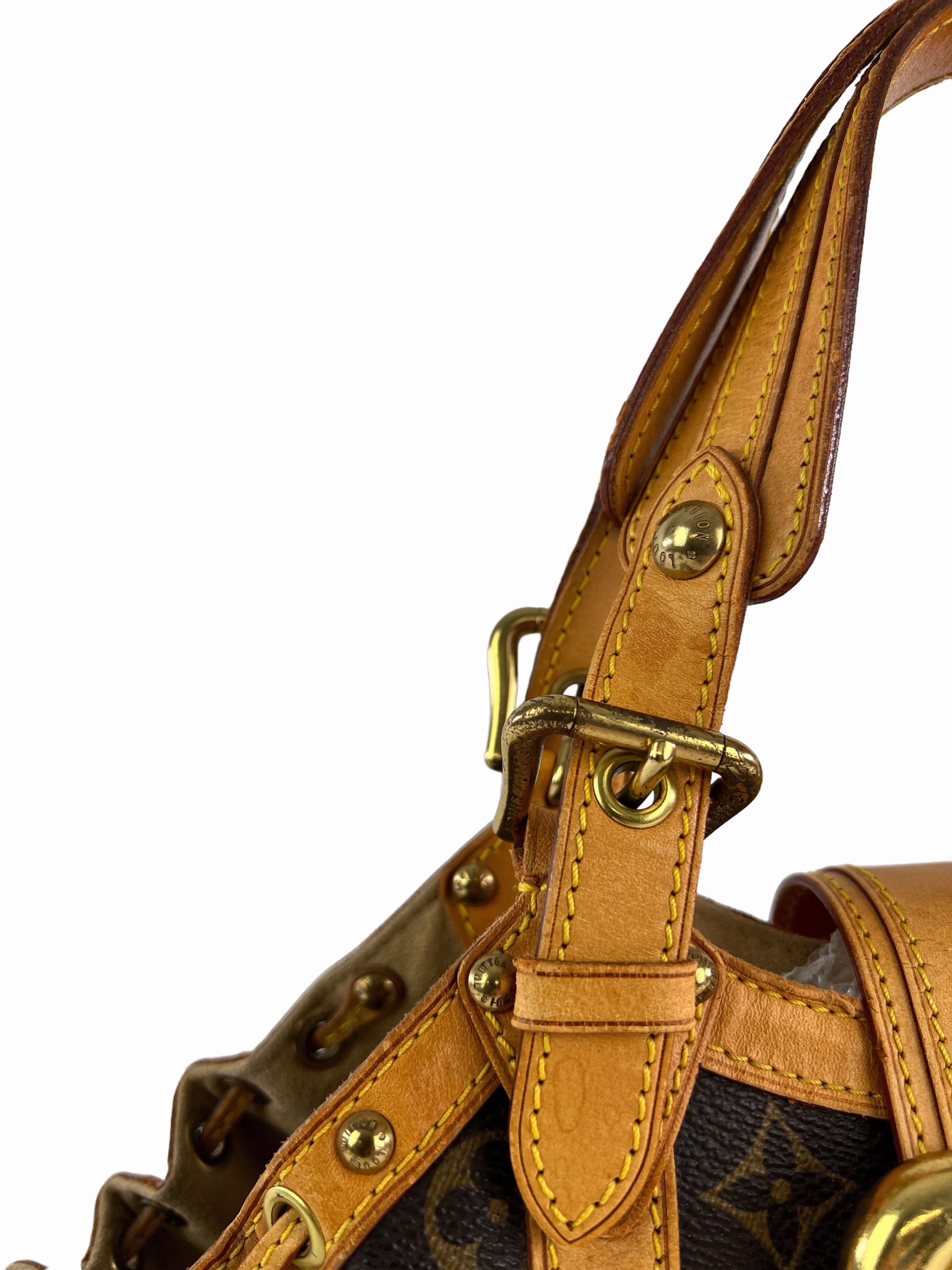 Louis Vuitton Monogram Theda Handbag