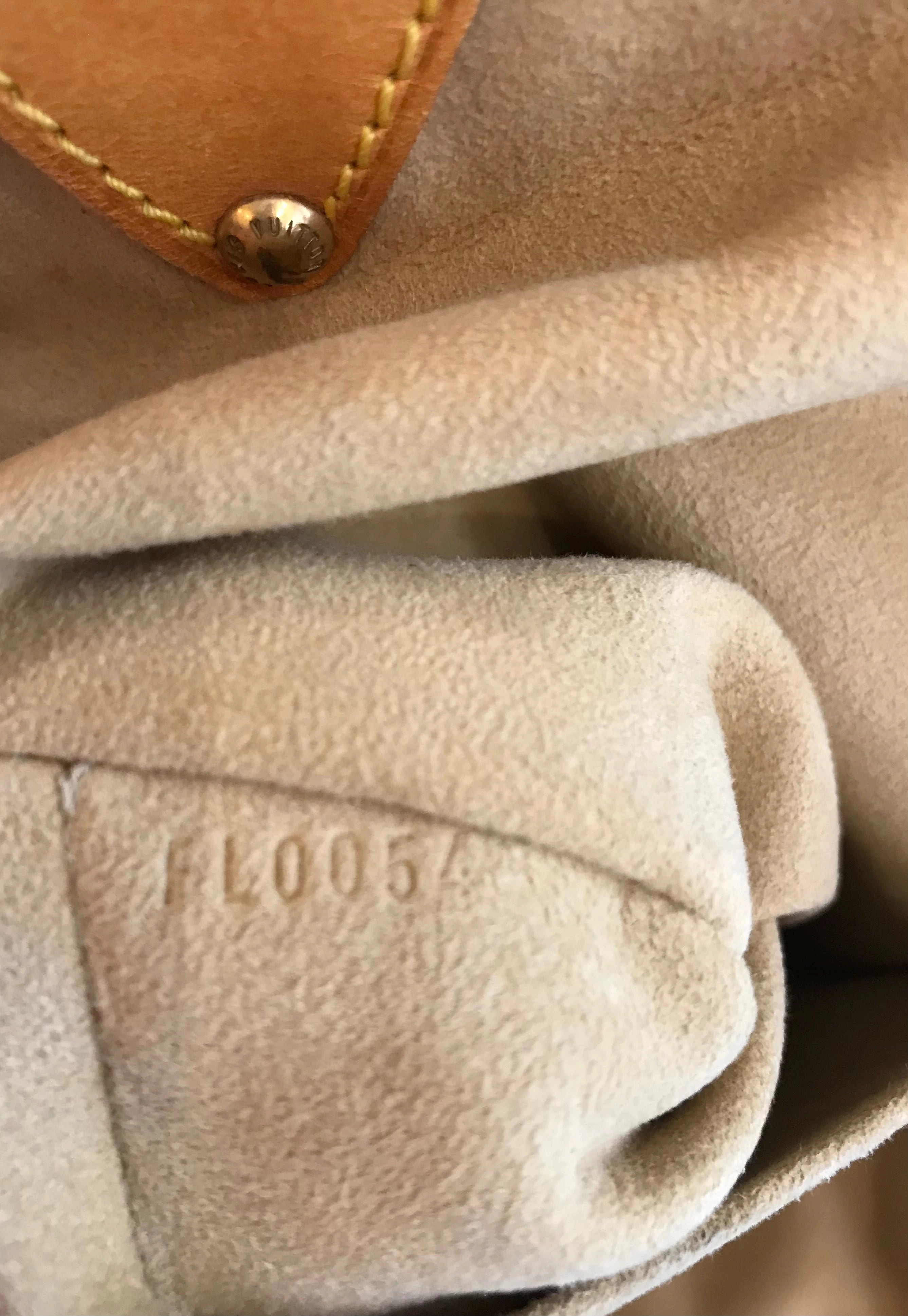 Louis Vuitton Monogram Theda Handbag