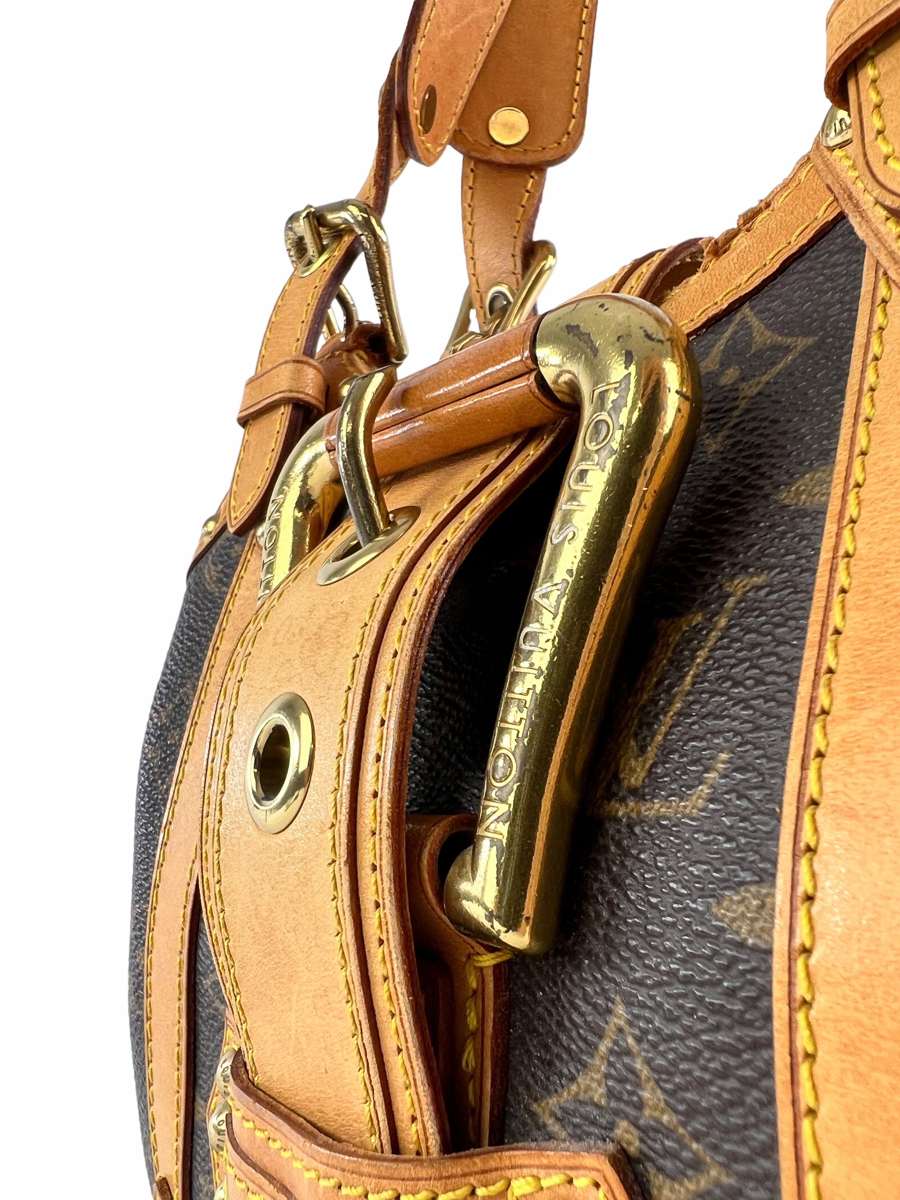 Louis Vuitton Monogram Theda Handbag