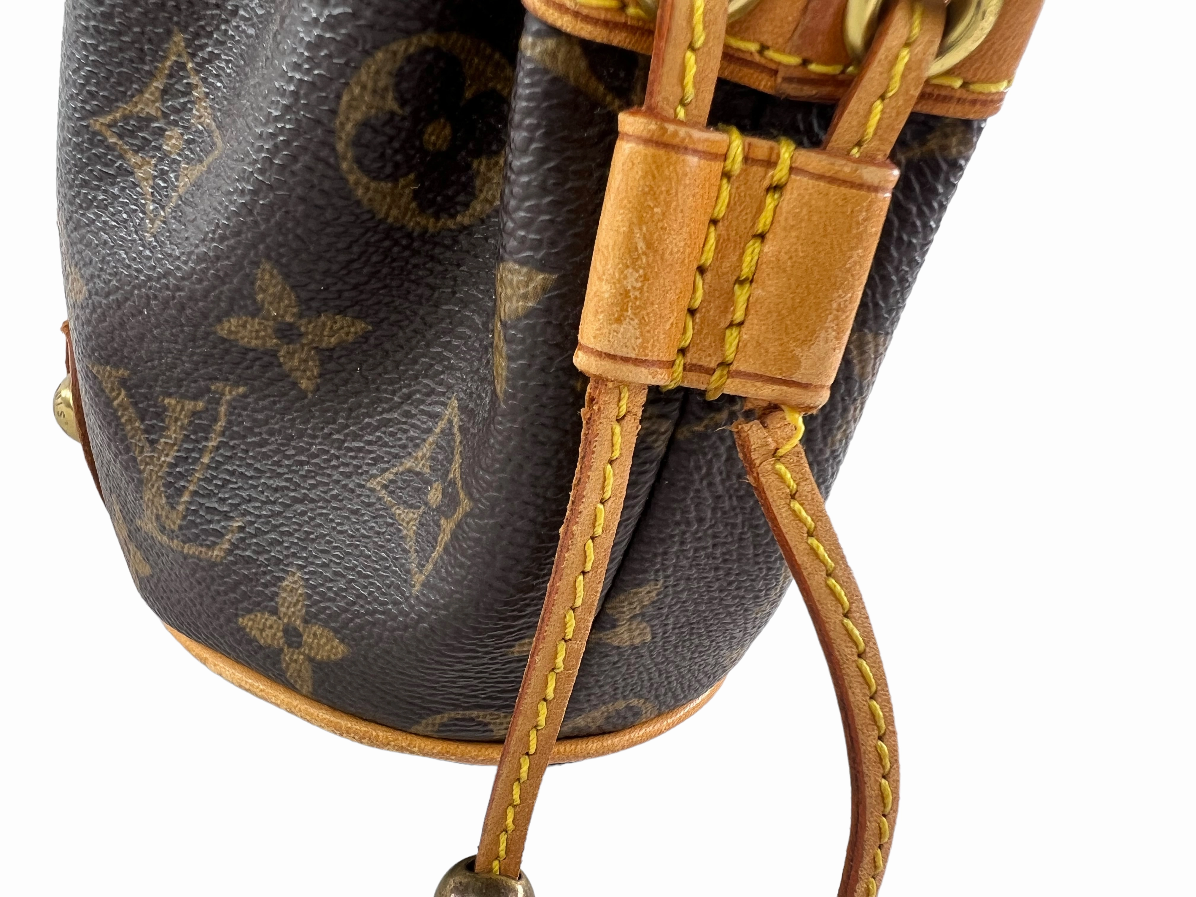 Louis Vuitton Monogram Theda Handbag