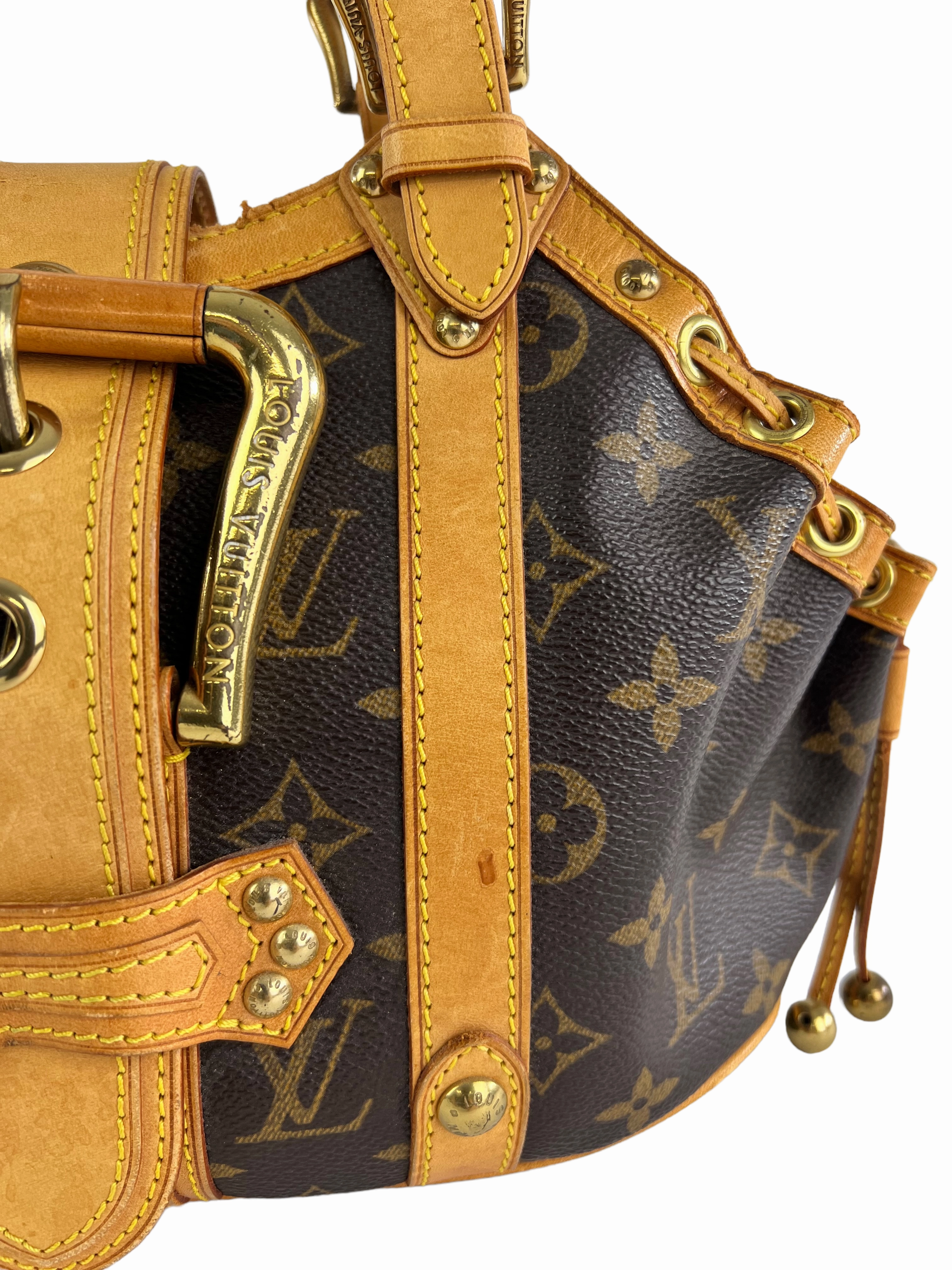 Louis Vuitton Monogram Theda Handbag