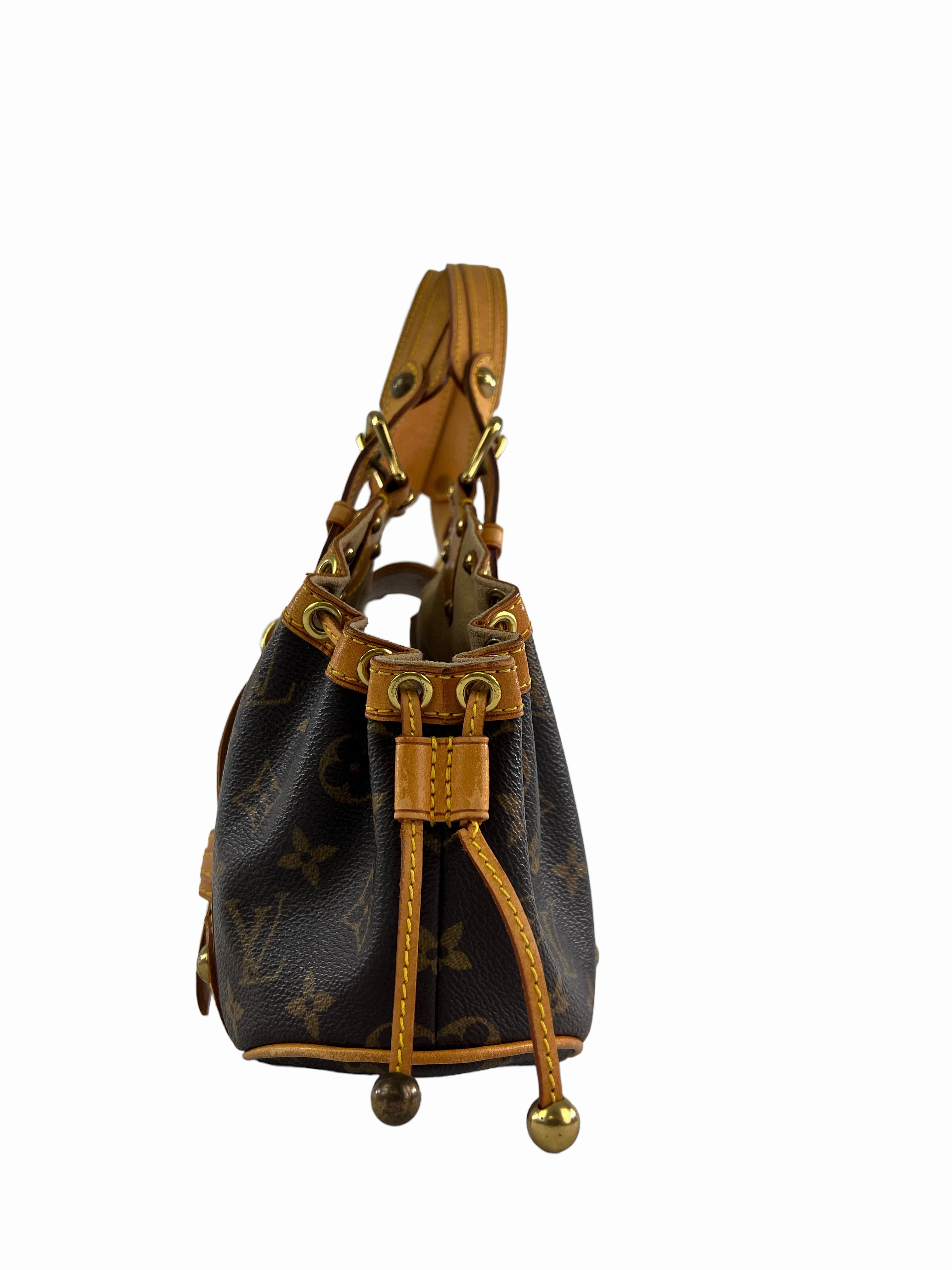Louis Vuitton Monogram Theda Handbag