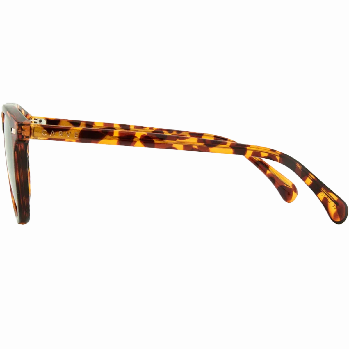 Oslo Polarized