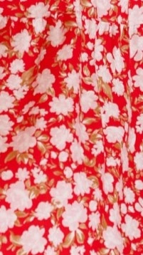 Sammi Midi Dress - Red Floral