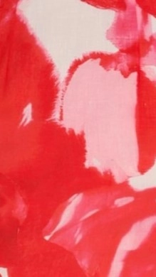 Sicilio Mini Dress - Pink/Red Floral