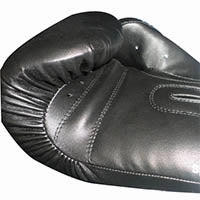 SPEED 50 BOXING GLOVES  