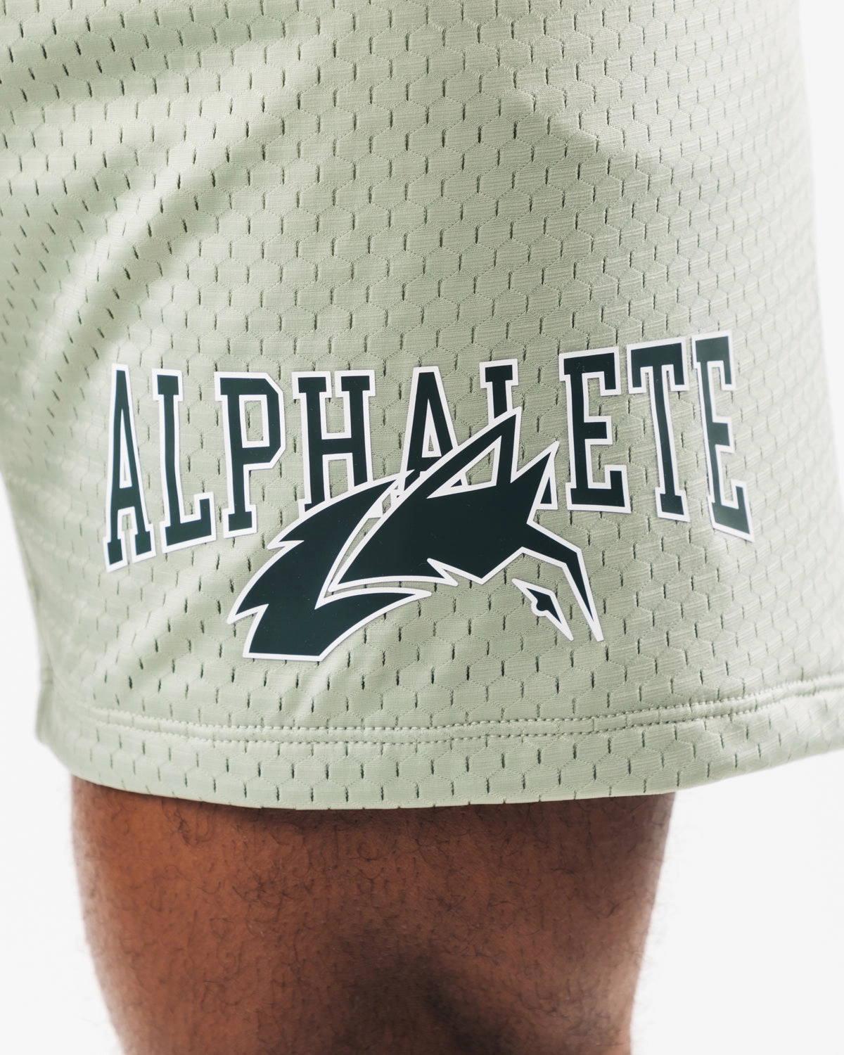 Wolf Head Mesh Short 6" - Sage